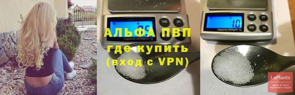 крисы Тавда