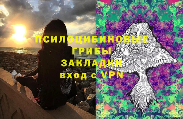 a pvp Нея