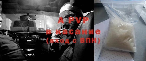 крисы Тавда