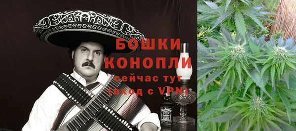 крисы Тавда