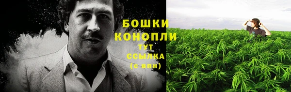крисы Тавда