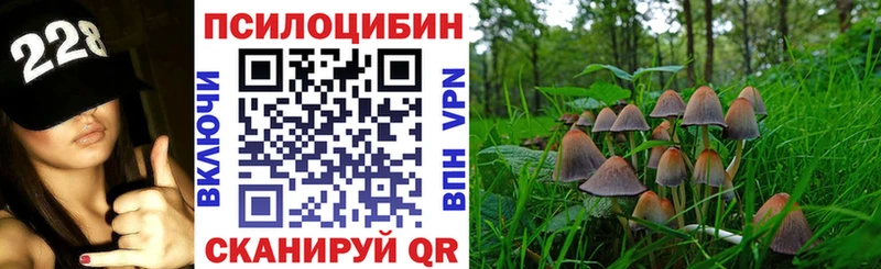 Галлюциногенные грибы мицелий  магазин продажи наркотиков  Балтийск 