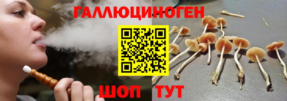 Галлюциногенные грибы прущие грибы Балтийск